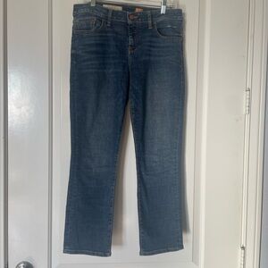 Anthropologie Pilcro straight leg jeans